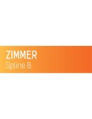 ZIMMER Spline B