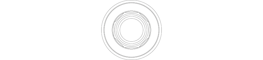 TL_65(WN)